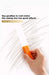 XMSJ Magic Eraser Easy Limescale Eraser Rubber Household Kitchen Cleaning Tools Toilet Rust Brush Bathroom Glass Rust Remover