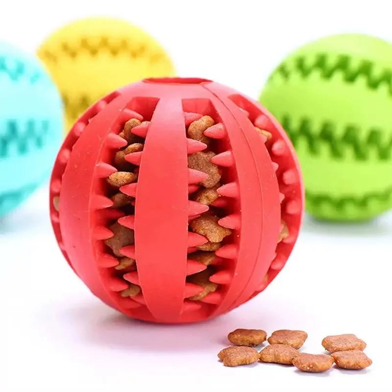 Dog Supplies